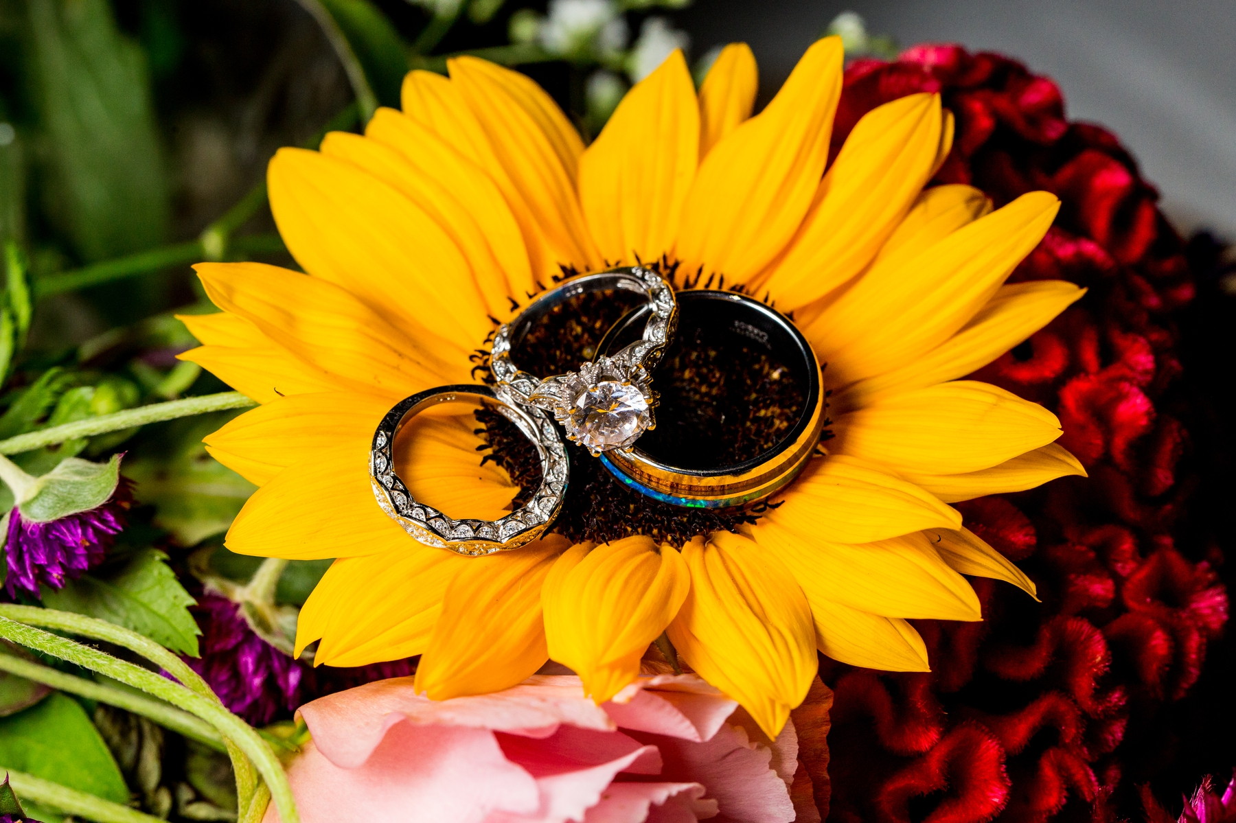 Little Buffalo State Park Wedding